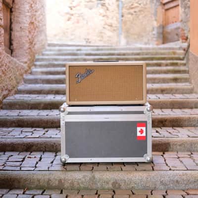 1964 Fender Reverb Unit 6G15 - Blonde - Rare image 1