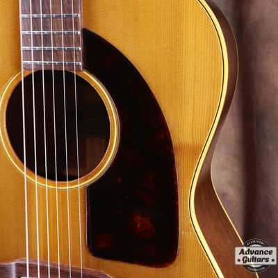 Epiphone 1966 FT-45 Cortez image 12