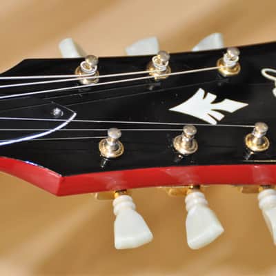 1976 Vintage Penco E20G (ES 335 345 style) E20 G Guitar (100
