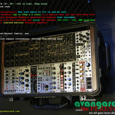 NEW! Avantgarde Sound • The Peresvet • 186hp Fully Powered Eurorack Case w/Wheels! image 9