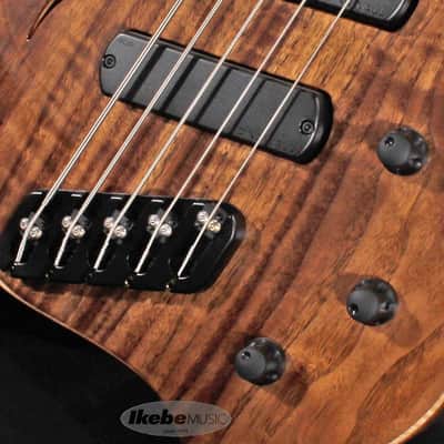 DINGWALL AfterBurner II 5st Fretless -Claro Walnut Top/Walnut Back/Wenge Neck- (Special Price) image 3