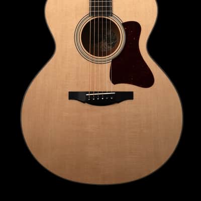 Collings SJ Mh image 11