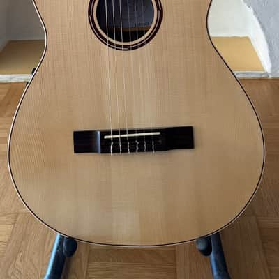 APC Instruments Luthier Gold CW ALL SOLID classical guitar with Cutaway und Fishman Pickup image 14