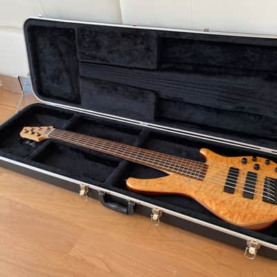 Sandberg Custom 6-String Bass (2008) incl. Case image 16