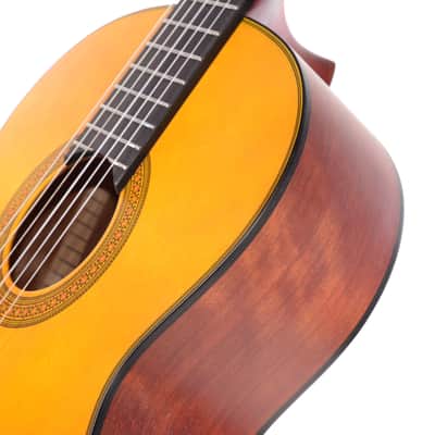CG/CGX Series Nylon Spruce - Matte Natural image 5