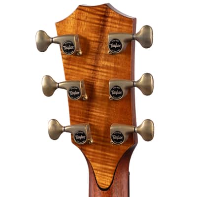 Taylor 2024 Custom GA #34: C14ce Lutz Spruce/East Indian Rosewood (1 of 12 Built!) w/OHSC (077) USED image 6