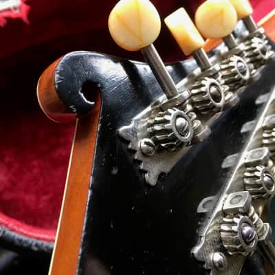 Gibson The Gibson F4 Mandolin 1920 image 19