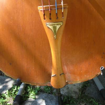 Epiphone Double Bass - B5 1948 natural image 4