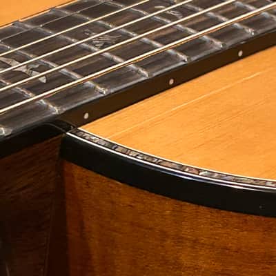 PRS PPE50 - Parlor Size Acoustic Guitar with Built-In Fishman Pickup and Padded Bag image 18