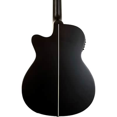 Washburn Deep Forest Ebony ACE Acoustic-Electric Guitar Natural Matte (B-Stock) image 2