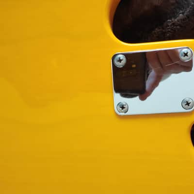 Fender Crafted In Japan 51' Reissue Precision Bass image 18