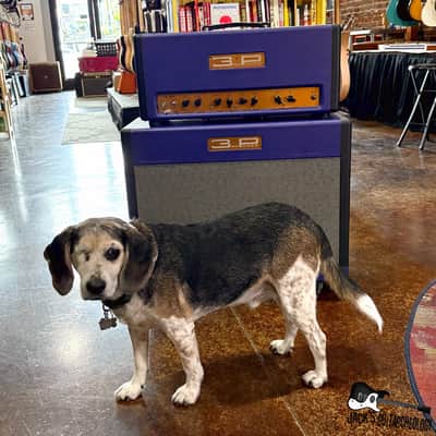 3rd Power Citizen Gain SR Amp & 2x12 Cabinet (2016 - Purple) image 10