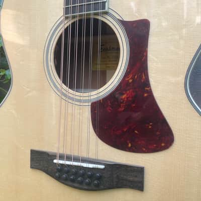 Eastman AC330E-12 - Natural image 4