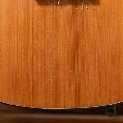 Chris Carrington Classical Guitar 366 2020 - Natural Gloss image 10