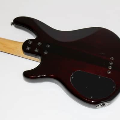 Schecter Guitar Research Raiden Special-4 Electric Bass Guitar