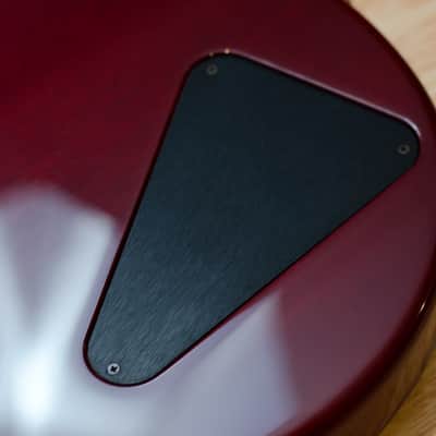 Hamer USA Special P90, Lollar P90s, Locking Grovers, 2004 image 10