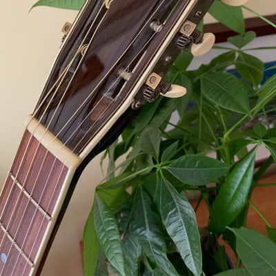DuMont OO Nick Lucas inspired relic 2018 Reliced gloss nitrocellulose lacquer- hand rubbed sunburst image 9