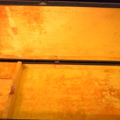 Gibson Vintage 60s Thunderbird Case 1960s image 6