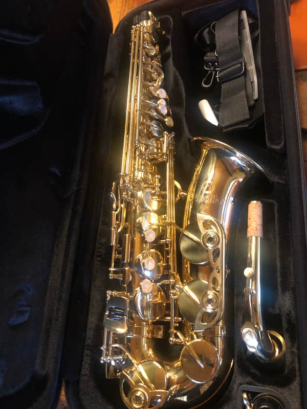 Apollo AAS 23 Student Alto Saxophone - Gold Lacquer image 1