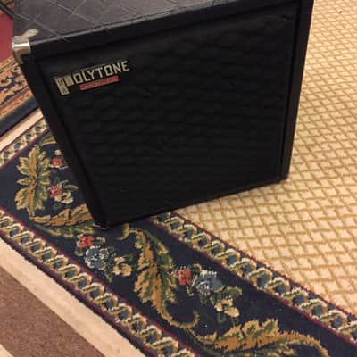 Polytone Mini-Brute image 1