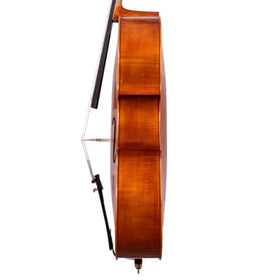 Testore Cello 4/4 from One Piece Back – Hand-Made in Romania 2025 #100 image 9