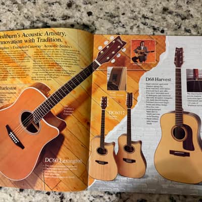 Washburn Catalog Flyer 80s-90s SBF24 SBT21 SBS20 ea20 ea30 Mandolin Banjo Crackle image 2