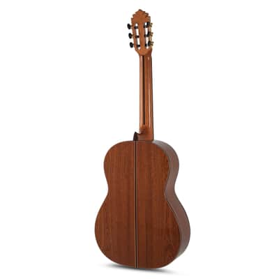 Manuel Rodriguez Magistral D-S - 4/4 classical guitar image 2
