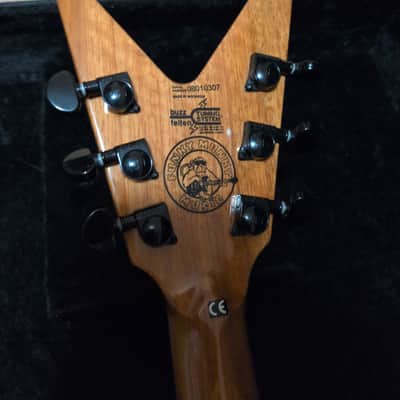 Washburn Funky monkey dimeslime D3 spec 2014 - Dimeslime finish image 7