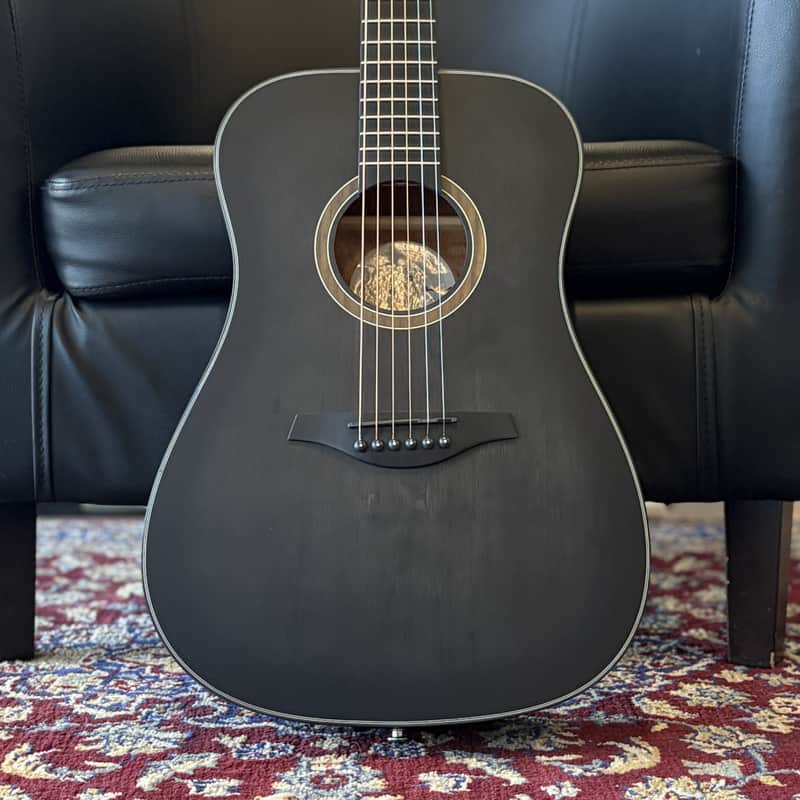 Jay Turser JTA53 3/4 Acoustic Guitar - Blackwood Fingerboard, Black image 1