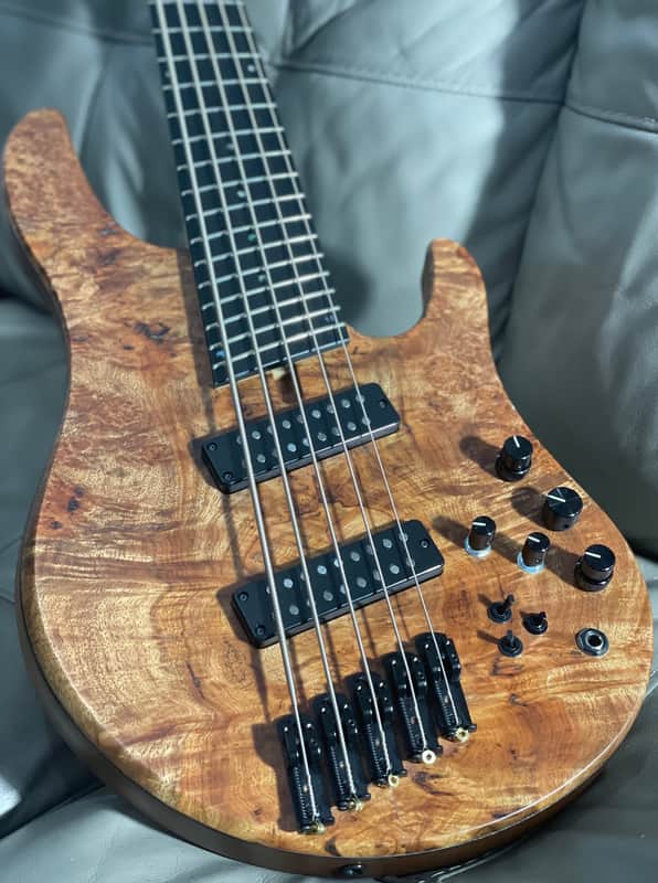 Swan Alpha Special Fanned Fret 2022 image 1