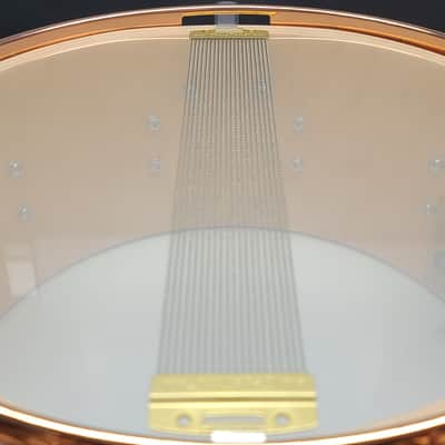 DW Neil Peart 6.5”x14” TIME MACHINE ICON Snare Drum No.198/250 BONUS TM Display Head !!! image 17