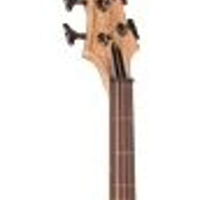 ESP LTD B-204SM FL Spalted Maple Fretless Bass Guitar, Natural Satin image 3