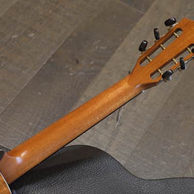 Unplayed! 2018 Taylor 712ce 12 Fret Limited Edition Torrified Spruce Blackwood Acoustic Guitar Natural + OHSC image 17