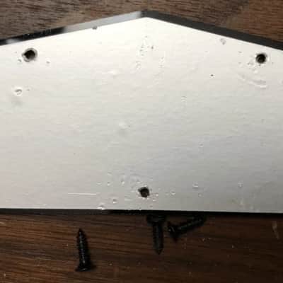 2017 Epiphone Les Paul Special II Control Cavity Cover With Screws image 2