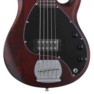 Sterling By Music Man StingRay RAY5 Bass Guitar - Walnut Satin image 2