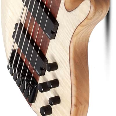 Schecter Charles Berthoud CB-6 - Natural Satin (2875) image 6