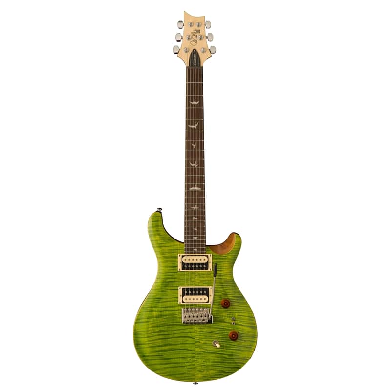 PRS SE custom 24-08 ErizaVerde image 1