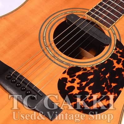 S Yairi YD-40/N w/FISHMAN NEO D | Reverb