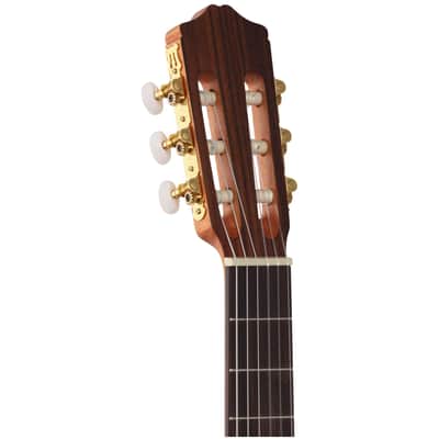 Cordoba Protege C1M Classical Acoustic Guitar, Open Box (Very Good) image 7