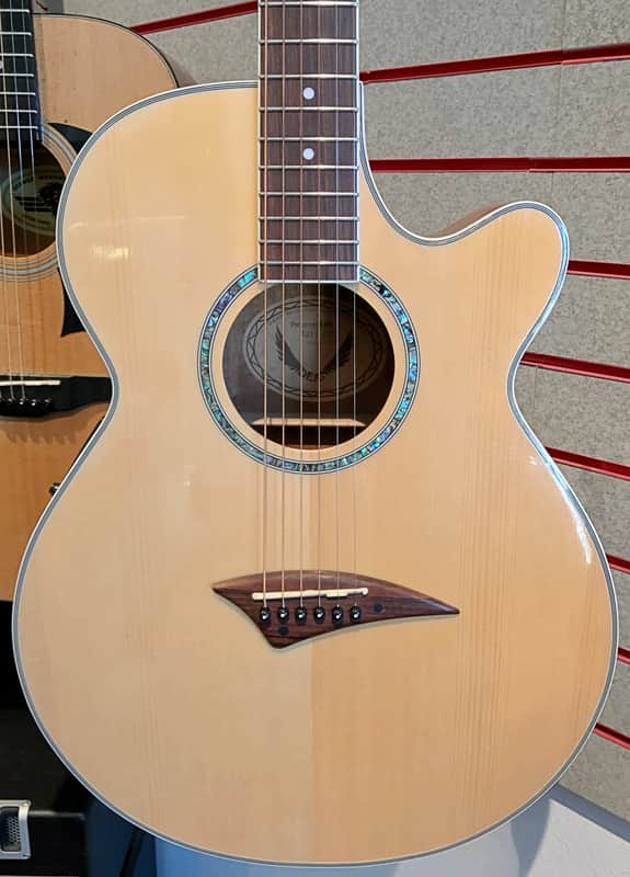 DEAN Performer E GN Spruce Top Mahogany Body Acoustic Guitar EQ-7545 w/Gig Bag image 1