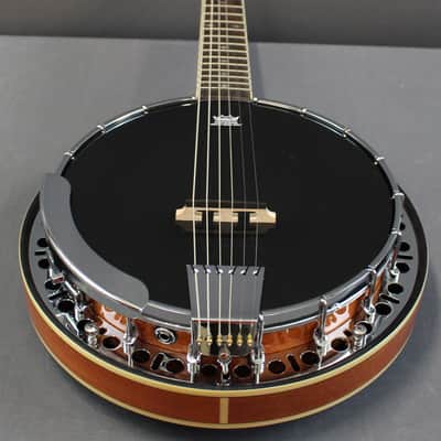 Epiphone Stagebird 6 String Electric Banjo image 4