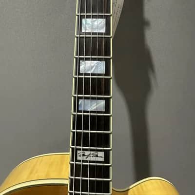 Two Semi-Hollow D'Angelico and One 57 Retro Fender Amp Combo image 8