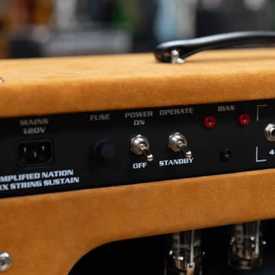 Amplified Nation Six String Sustain 50W Head & 112 Cab – Golden Brown Suede image 10