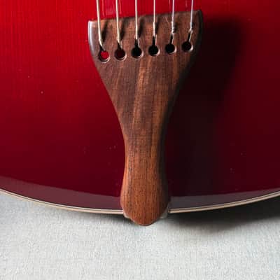 Tad Brown Archtop 16" Acoustic Calton Case image 6
