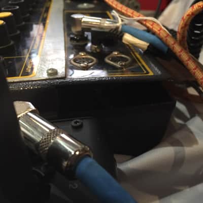 Electronic Dream Plant WASP 1980s owned by Steve Albini image 4