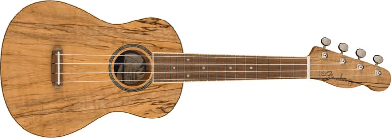 Fender Zuma Exotic Concert Ukulele Walnut FB Spalted Maple