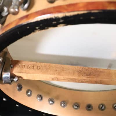Vega Fairbanks Regent 5-String Openback Banjo, 1913 image 23