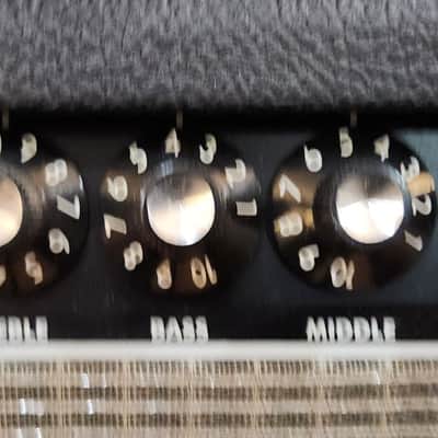 Fender Twin (Evil Twin) 212 Combo 100 Watt Amp w/ Reverb 1999 USA image 10
