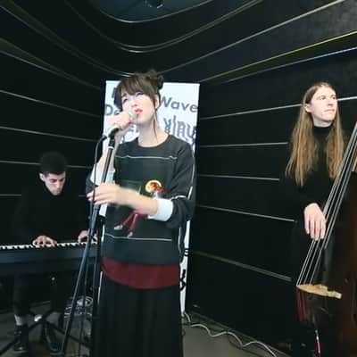 Kimbra Stage-Played Czech-Ease Acoustic Road Bass / Stand-Up Bass image 22