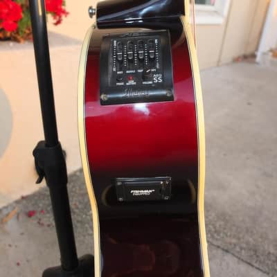 Ibanez AEL20-TRS-14-01 image 8
